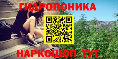 стаф Кунгур