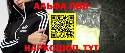 стаф Кунгур