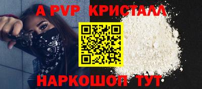 стаф Кунгур