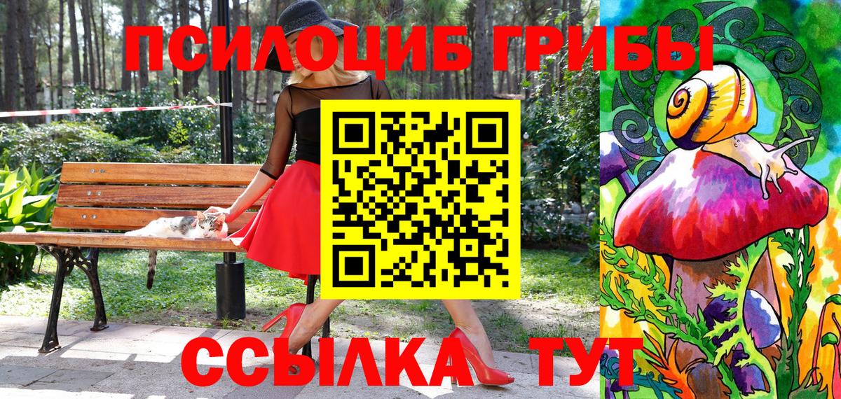 Галлюциногенные грибы прущие грибы  Вход с VPN  Кимовск 